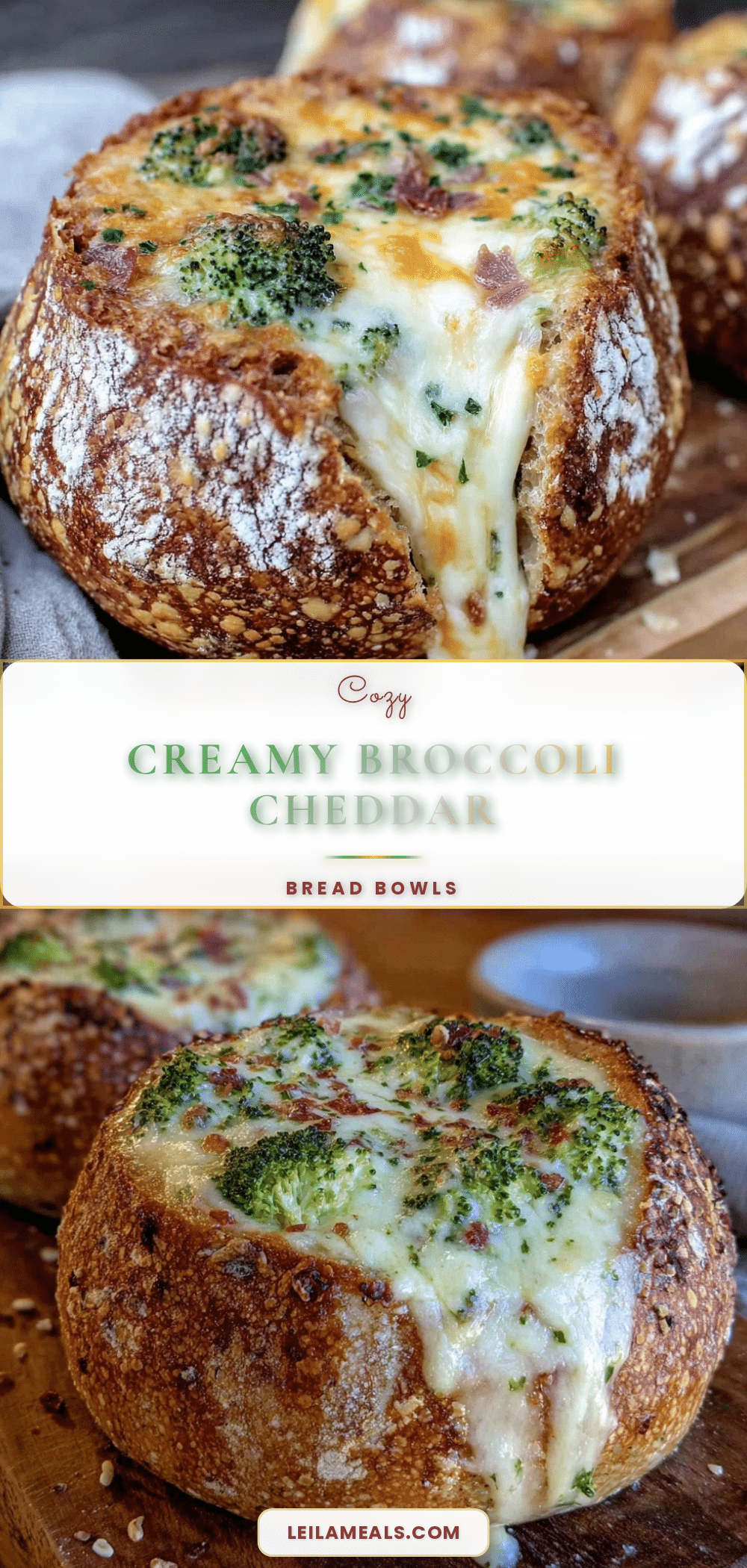 broccoli cheddar soup in bread bowls recipe
