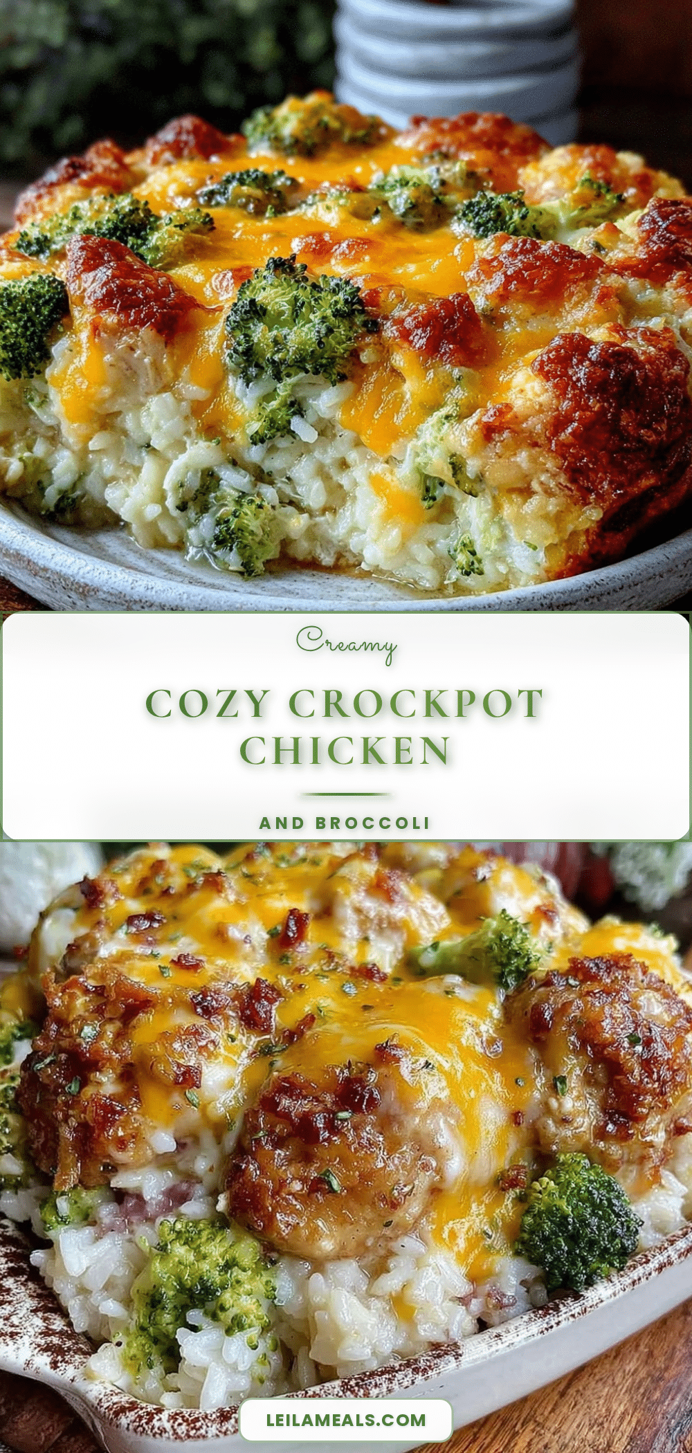 cozy crockpot chicken and rice casserole recipe