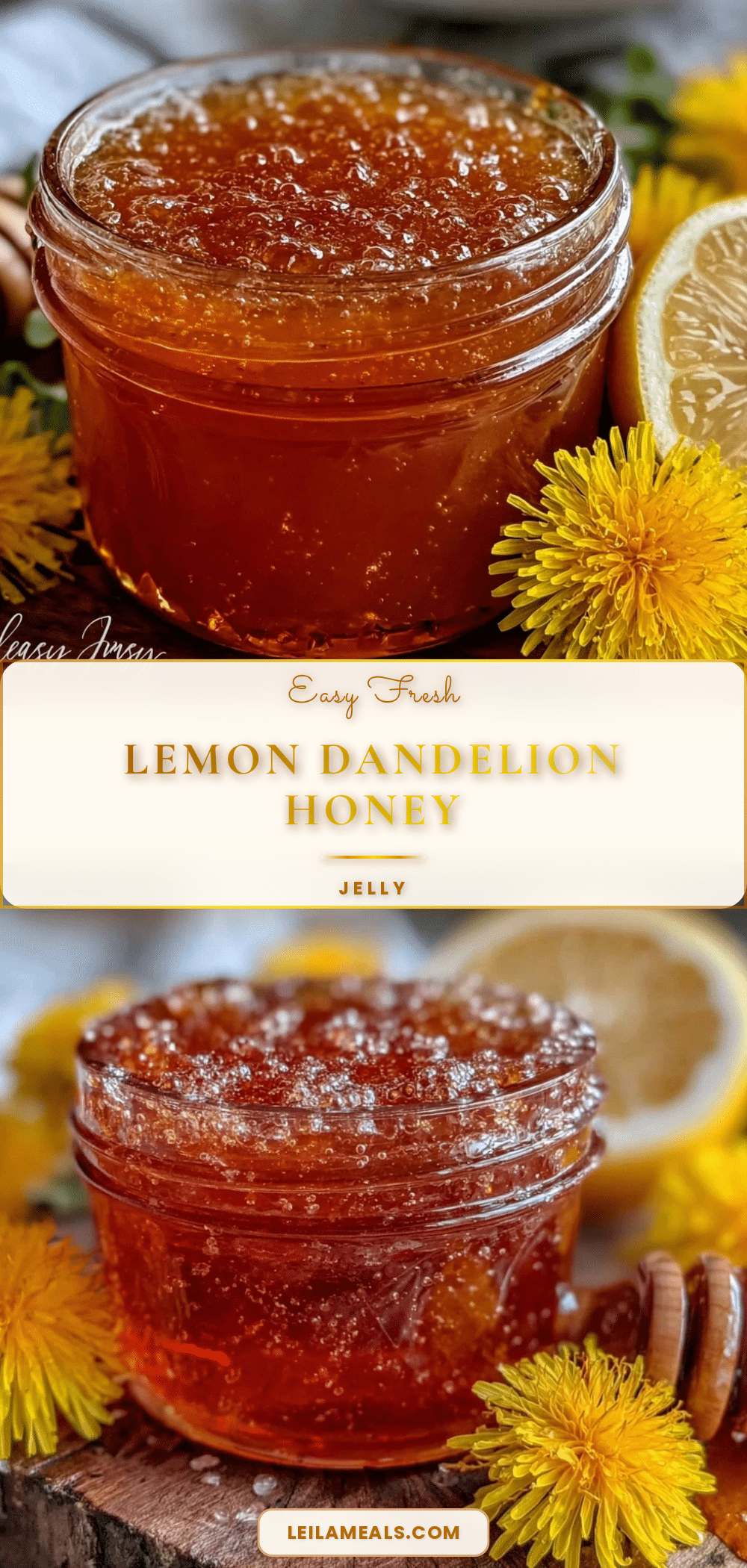 easy homemade dandelion jelly recipe