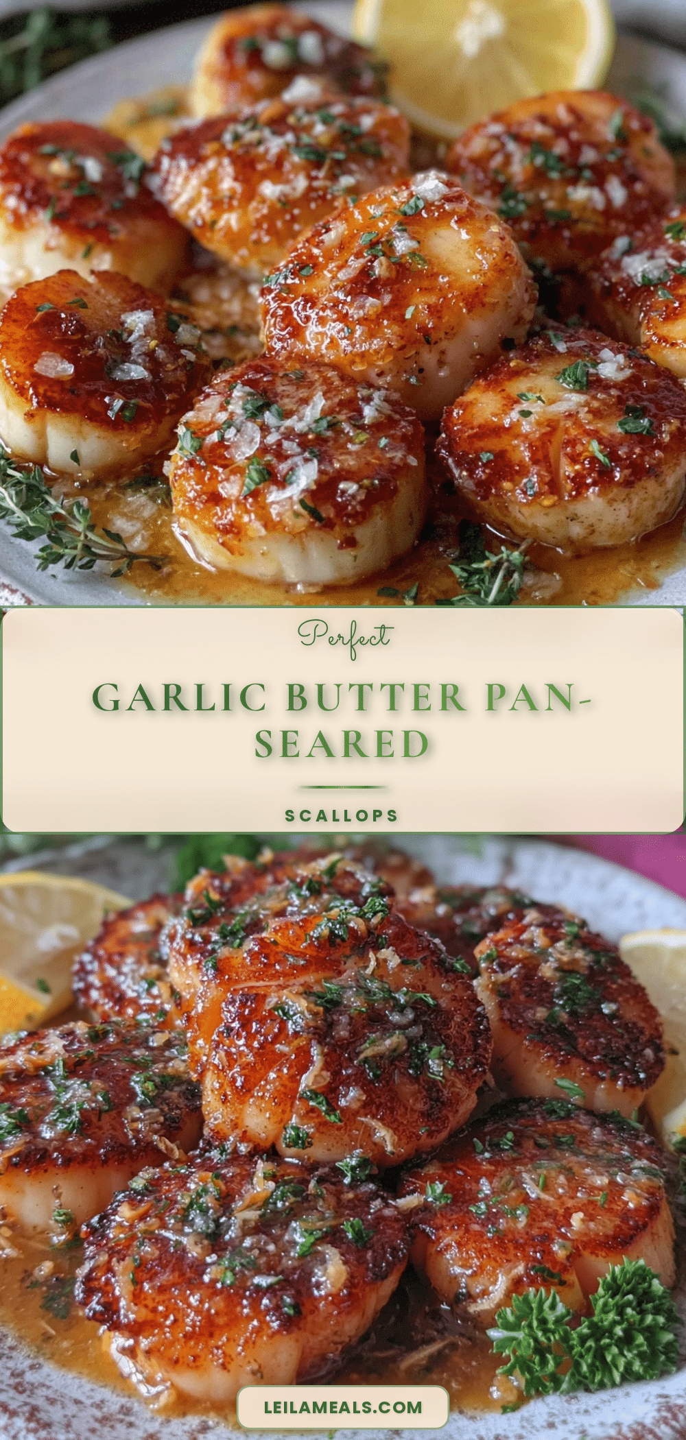 garlic butter pan-seared scallops recipe