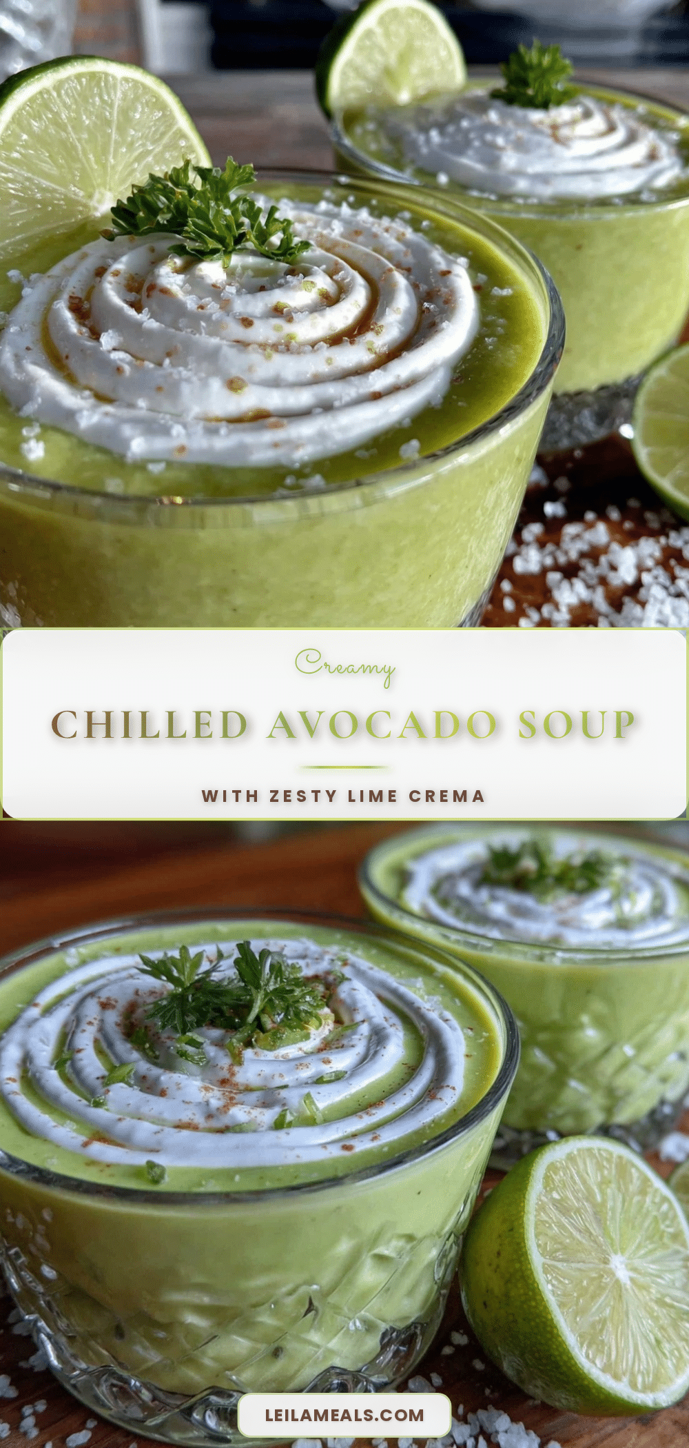 fresh chilled avocado soup recipe