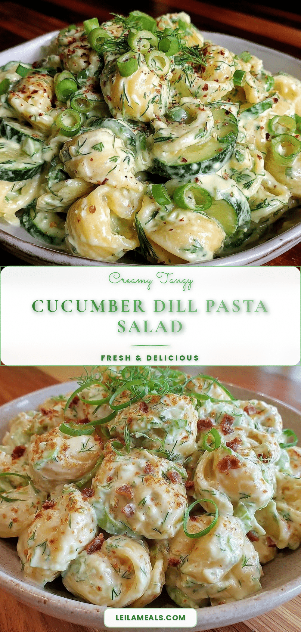 creamy cucumber dill pasta salad recipe