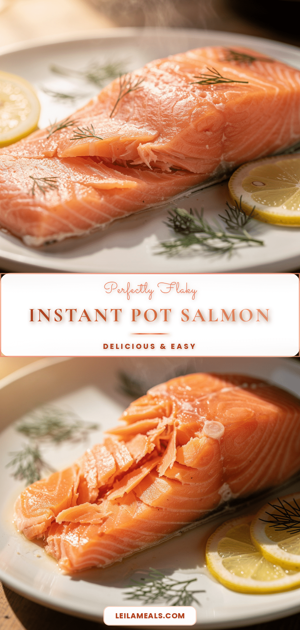 Instant Pot salmon recipe recipe
