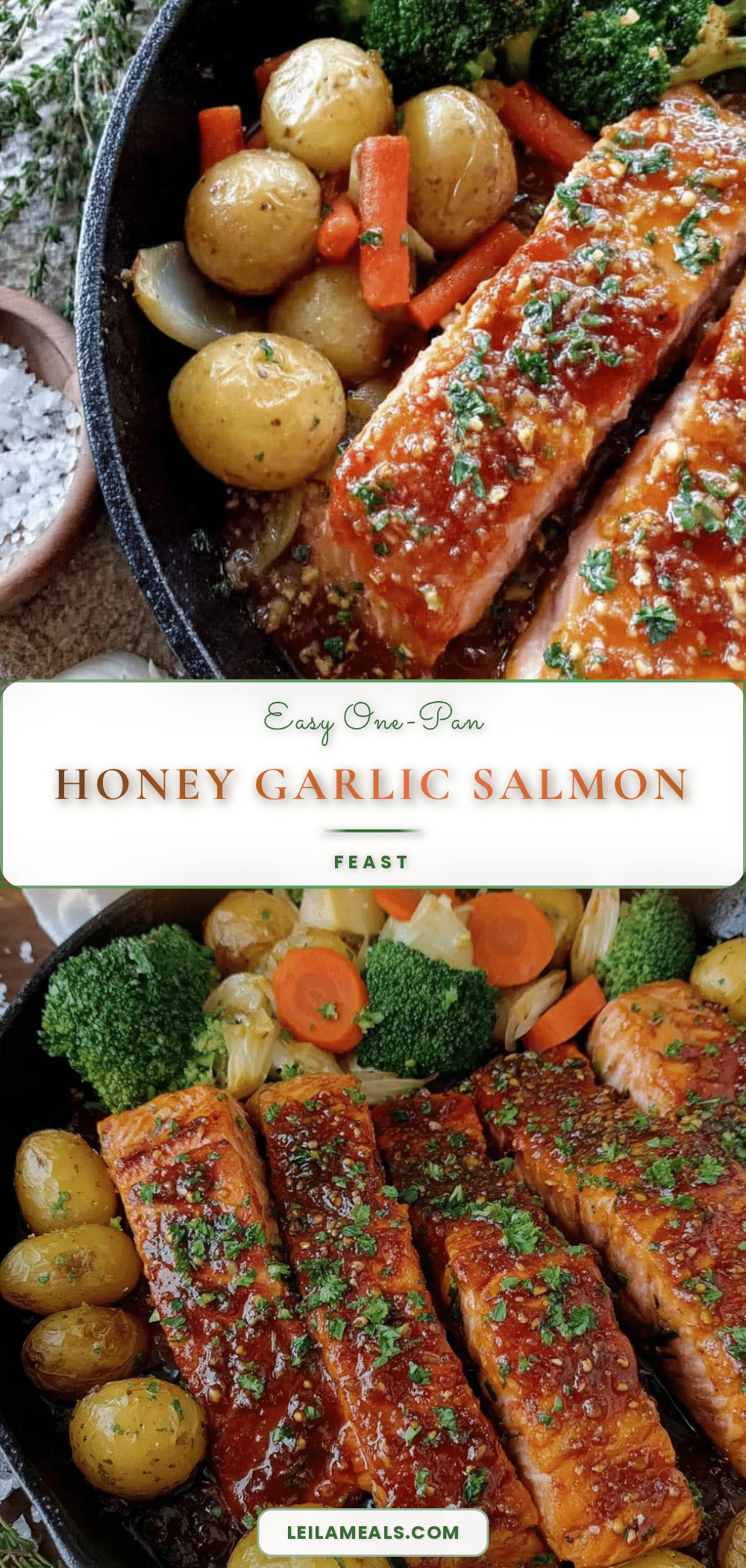 one-pan honey garlic salmon recipe