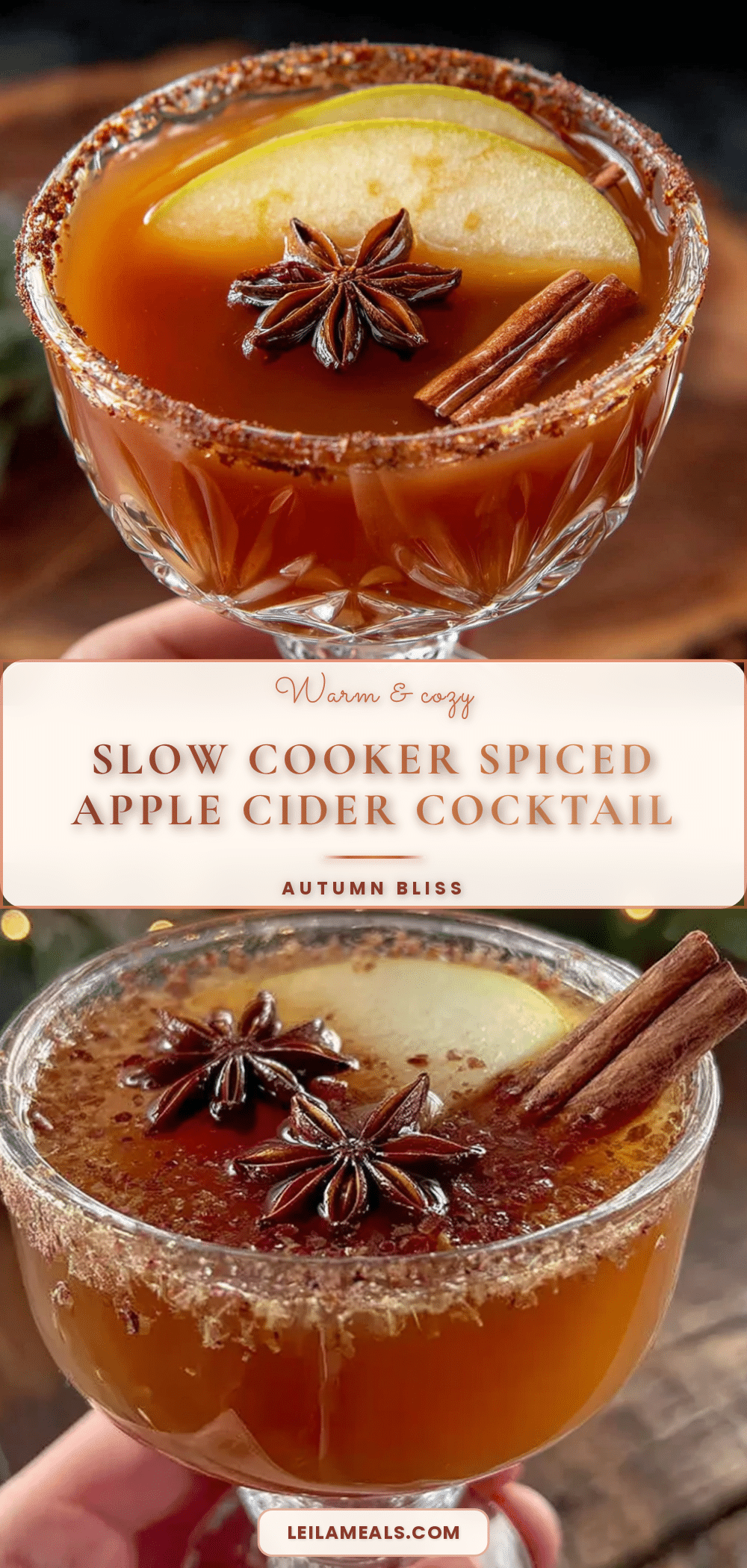 cozy slow cooker apple cider cocktail recipe