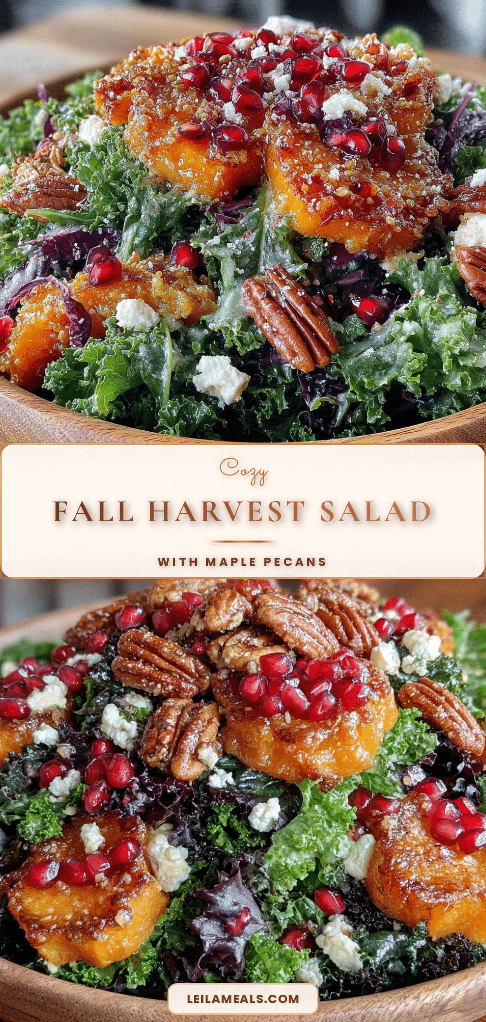 cozy fall harvest salad with easy maple pecans recipe