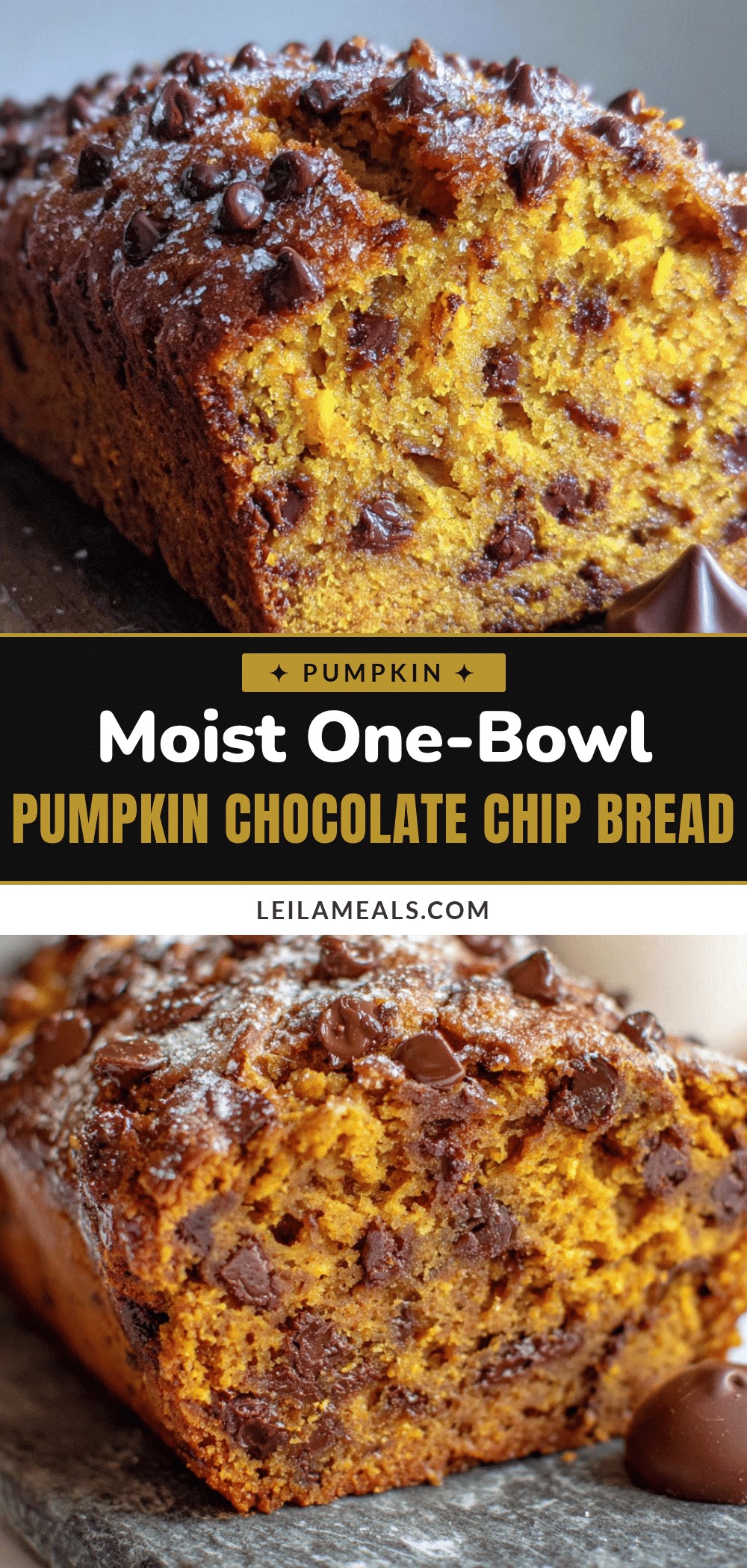 pumpkin chocolate chip bread recipe